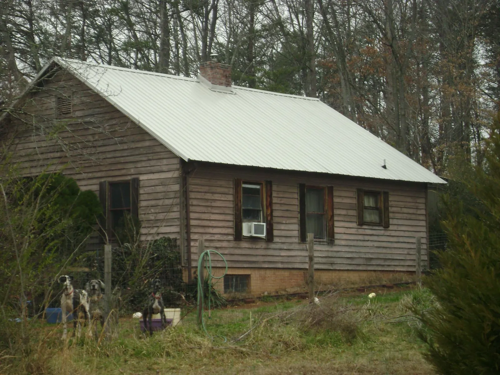 White metal roof on an old wood sided farmhouse, from a Metal Roof Installation job in North Falmouth